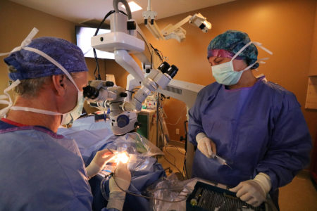 Two surgeons in a room with one operating on the other.