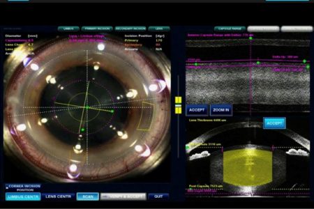 A computer screen showing the eye of an animal.