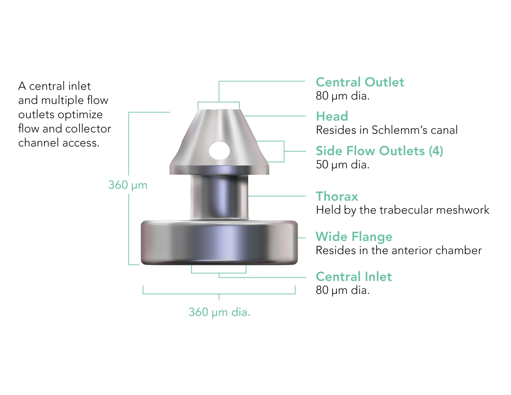 A diagram of the parts of a valve.